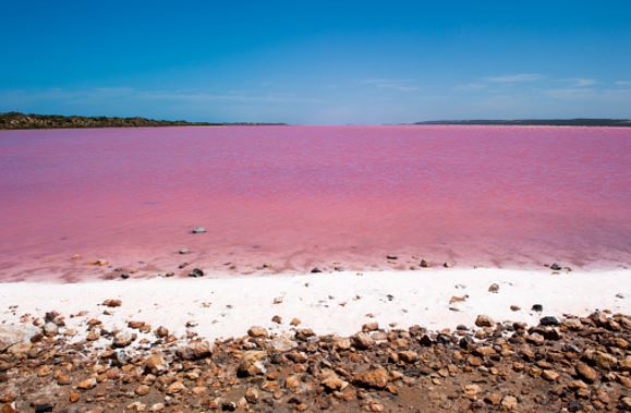 Pink-Lake.jpg