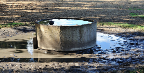 Concrete trough overflowing with water