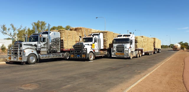 Hay carting operation