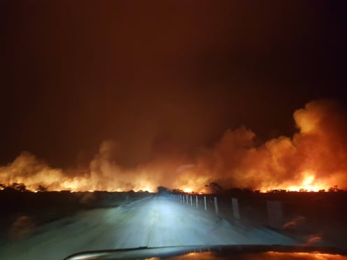 bushfire in the immediate distance