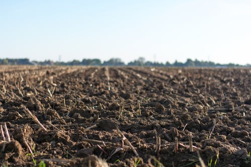 farm soil can be compromised with algae in water