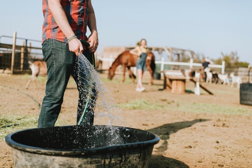 filling water on a farm-1